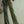 The Iseut Velvet Jumpsuit