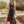 The Eusébie Lace Midi Dress