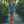 The Loubie Denim Jumpsuit