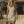 The Baptistine Suede Mini Dress