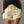 The Danièle Denim Shorts