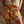 The Coelestine Denim Shorts