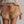 The Bénézie Denim Shorts