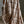 The Mardochée Cotton Linen Maxi Dress
