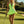 The Guenièvre Mini Dress