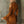 The Modeste Suede Mini Dress