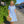 Everyday Midi Dress