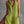 The Félicissime Cotton Linen Jumpsuit