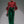 The Ségolène Wide-Leg Set