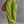 The Félicissime Cotton Linen Jumpsuit