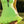The Guenièvre Mini Dress