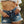 The Liutgarde Denim Shorts