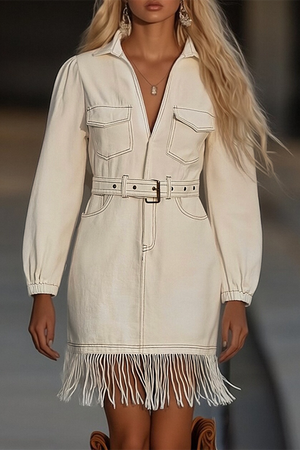 The Laurane Denim Mini Dress