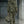 The Régine Camo Cotton Set