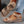 Wedge Heel Sandals