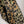 The Laetare Belt