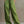 The Apolline Linen Set