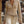 The Lilas Suede Jacket