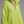 The Armentine Knit Mini Dress