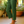 Draped Summer Trousers