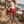 The Colombine-Marie Denim Shorts