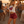 The Colombine-Marie Denim Shorts