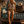The Coelestine Denim Shorts