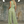 The Fleur Leopard Chiffon Set
