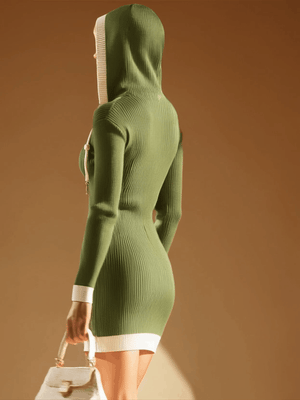 The Abeline Knit Mini Dress