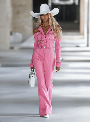 The Joïe Denim Jumpsuit