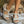 Strappy Block-Heel Sandals