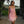 Sequined Feather-Trim Mini Dress