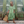 Puff-Sleeve Boho Maxi Dress