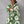 V-Neck Long Sleeve Maxi Dress