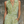 The Fleur Leopard Chiffon Set