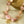 The Linaigrette Shell Necklace