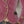 The Julie Velvet Blazer