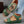 Wedge Heel Sandals