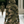 The Toinette Cotton Mini Dress
