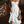 Smocked Cami Midi Dress