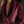 The Laurence Velvet Blazer