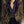The Nicole Velvet Blazer