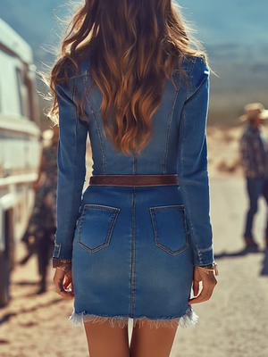 The Maxellende Denim Mini Dress