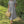 Everyday Midi Dress