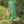 Everyday Midi Dress