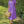 Everyday Midi Dress